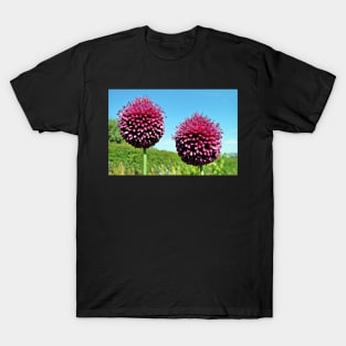 Drumsticks - Allium Sphaerocephalon T-Shirt